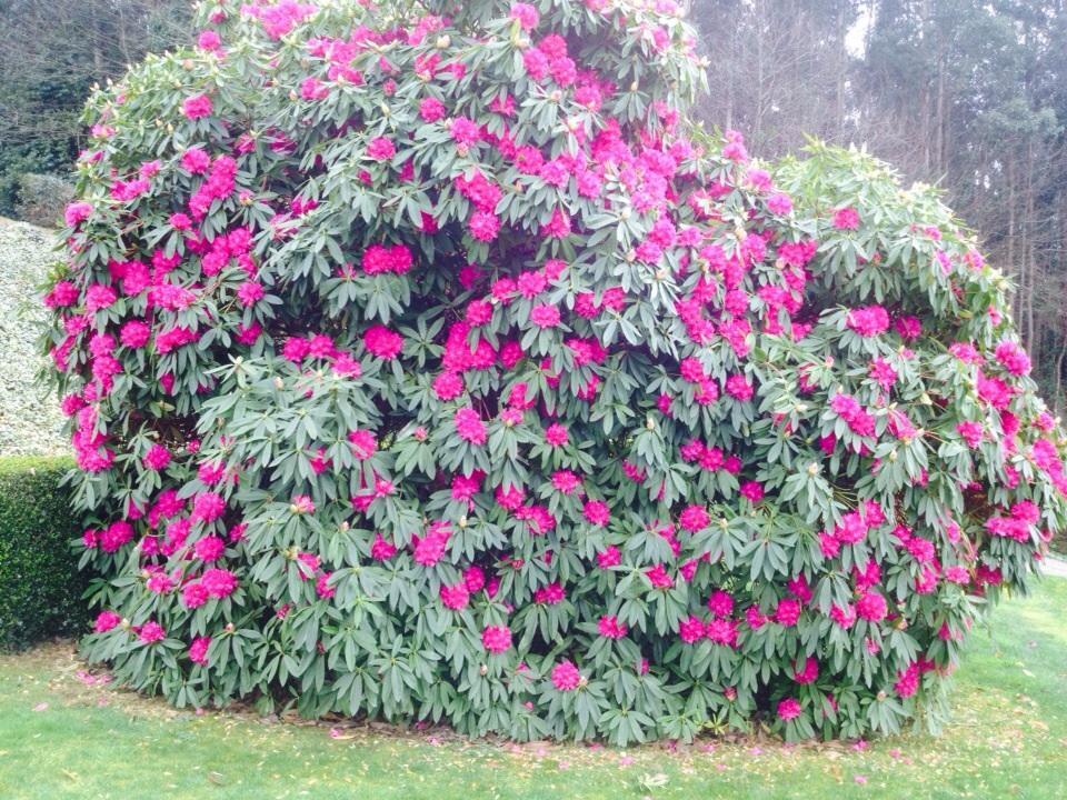 Casa Das Veigas Abegondo Ngoại thất bức ảnh